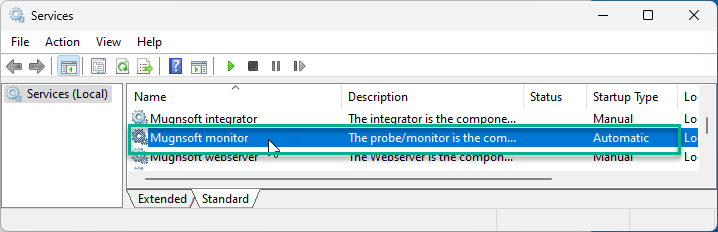 monitor install