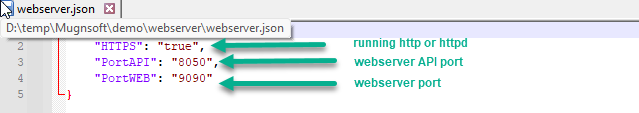 webserver json config file